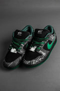 Nike SB dunk there skateboard
